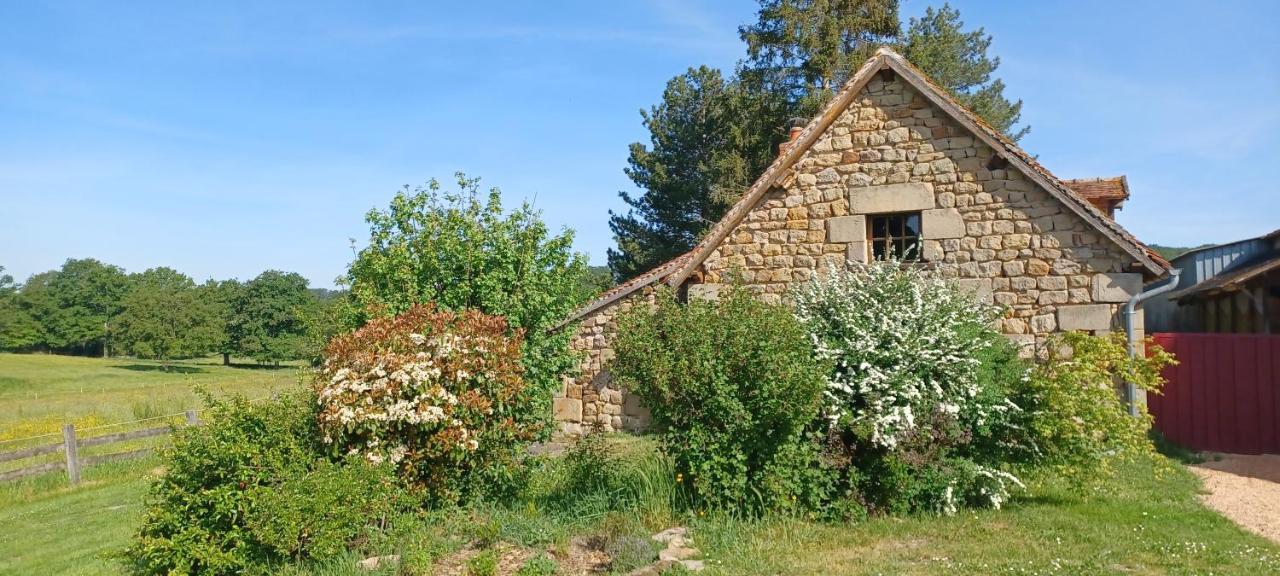 Domaine De Reniere Villa Buxières-les-Mines Dış mekan fotoğraf